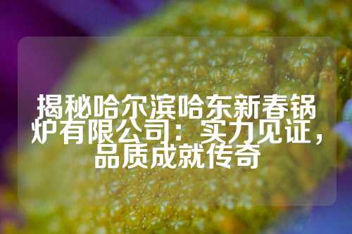 揭秘哈尔滨哈东新春锅炉有限公司：实力见证，品质成就传奇