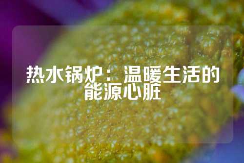 热水锅炉：温暖生活的能源心脏