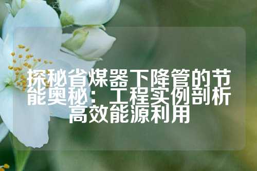 探秘省煤器下降管的节能奥秘：工程实例剖析高效能源利用
