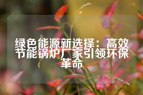 绿色能源新选择：高效节能锅炉厂家引领环保革命