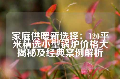 家庭供暖新选择：120平米精选小型锅炉价格大揭秘及经典案例解析