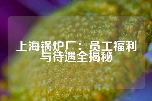 上海锅炉厂：员工福利与待遇全揭秘