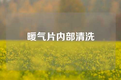 暖气片内部清洗