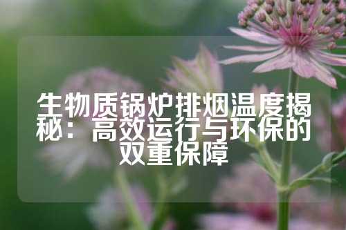 生物质锅炉排烟温度揭秘：高效运行与环保的双重保障