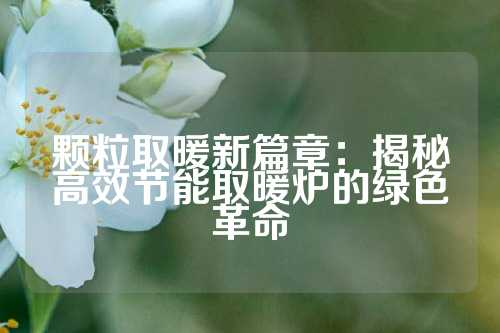 颗粒取暖新篇章：揭秘高效节能取暖炉的绿色革命