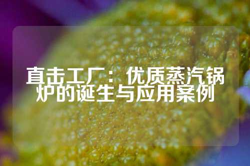 直击工厂：优质蒸汽锅炉的诞生与应用案例