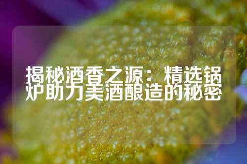 揭秘酒香之源：精选锅炉助力美酒酿造的秘密