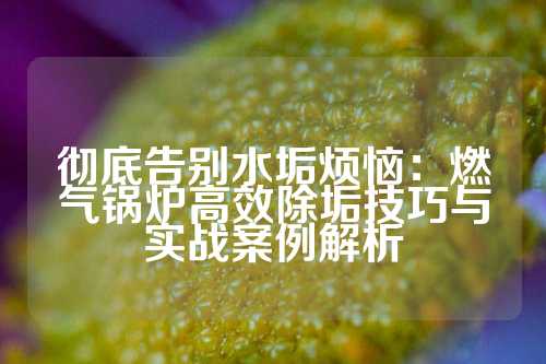 彻底告别水垢烦恼：燃气锅炉高效除垢技巧与实战案例解析