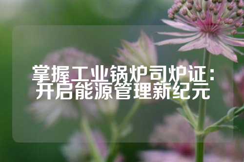 掌握工业锅炉司炉证：开启能源管理新纪元