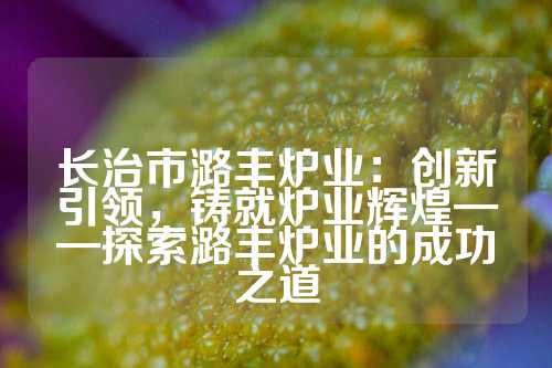 长治市潞丰炉业：创新引领，铸就炉业辉煌——探索潞丰炉业的成功之道