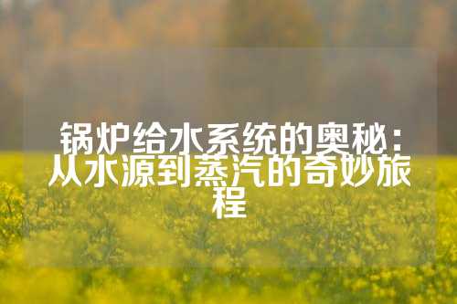 锅炉给水系统的奥秘：从水源到蒸汽的奇妙旅程
