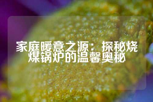 家庭暖意之源：探秘烧煤锅炉的温馨奥秘