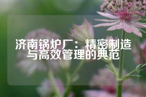 济南锅炉厂：精密制造与高效管理的典范