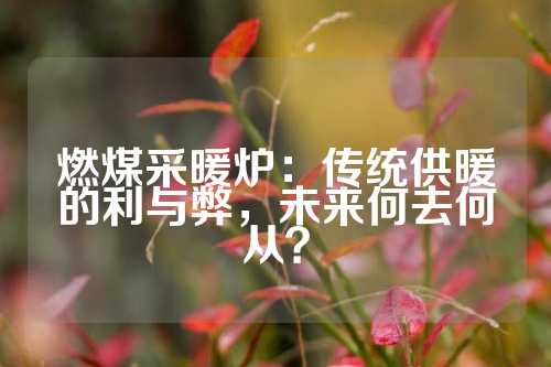 燃煤采暖炉：传统供暖的利与弊，未来何去何从？
