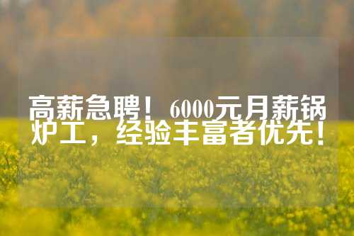 高薪急聘！6000元月薪锅炉工，经验丰富者优先！