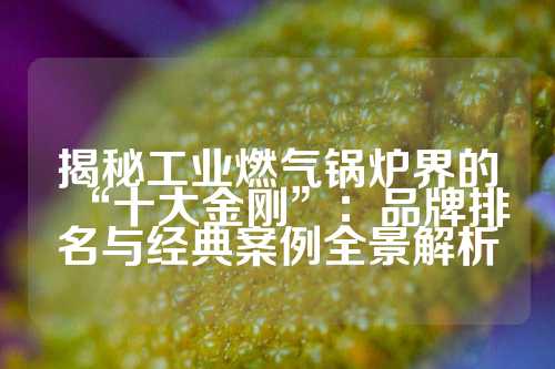 揭秘工业燃气锅炉界的“十大金刚”：品牌排名与经典案例全景解析