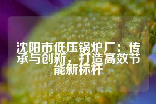 沈阳市低压锅炉厂：传承与创新，打造高效节能新标杆