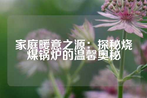 家庭暖意之源：探秘烧煤锅炉的温馨奥秘