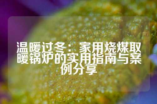 温暖过冬：家用烧煤取暖锅炉的实用指南与案例分享