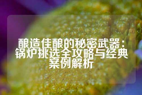 酿造佳酿的秘密武器：锅炉挑选全攻略与经典案例解析