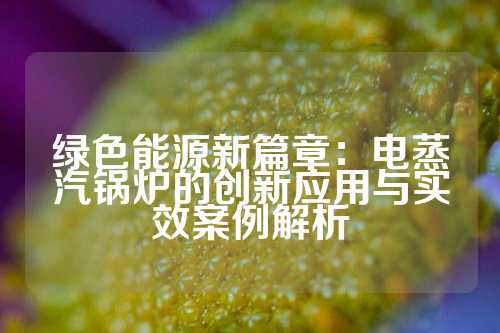 绿色能源新篇章：电蒸汽锅炉的创新应用与实效案例解析