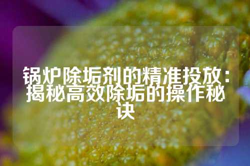 锅炉除垢剂的精准投放：揭秘高效除垢的操作秘诀