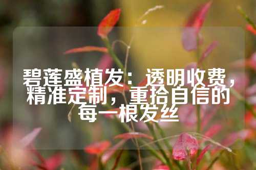 碧莲盛植发：透明收费，精准定制，重拾自信的每一根发丝