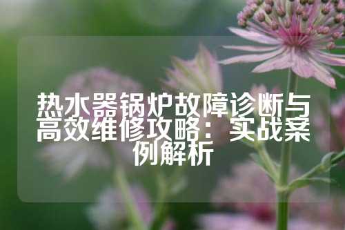 热水器锅炉故障诊断与高效维修攻略：实战案例解析