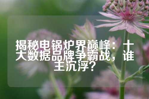 揭秘电锅炉界巅峰：十大数据品牌争霸战，谁主沉浮？