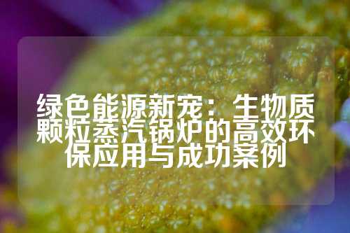 绿色能源新宠：生物质颗粒蒸汽锅炉的高效环保应用与成功案例