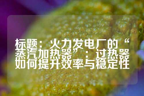 标题：火力发电厂的“蒸汽加热器”：过热器如何提升效率与稳定性