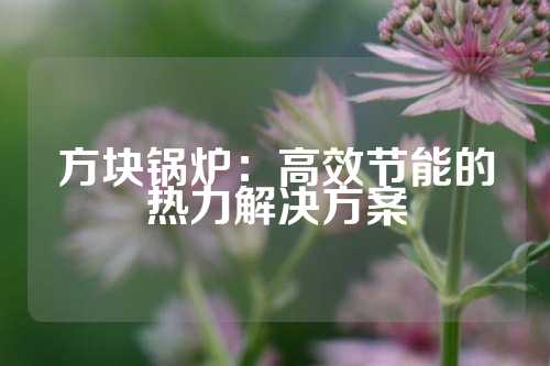 方块锅炉：高效节能的热力解决方案