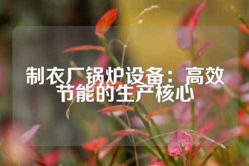 制衣厂锅炉设备：高效节能的生产核心