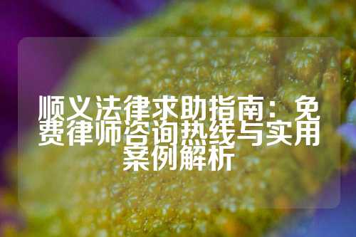 顺义法律求助指南：免费律师咨询热线与实用案例解析