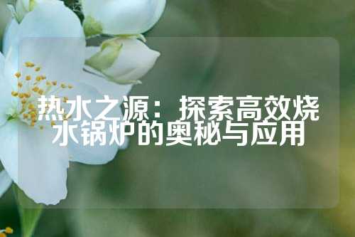 热水之源：探索高效烧水锅炉的奥秘与应用