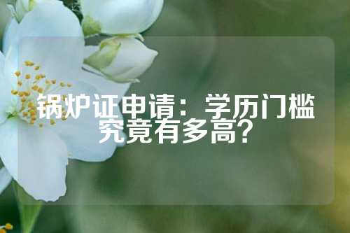 锅炉证申请：学历门槛究竟有多高？