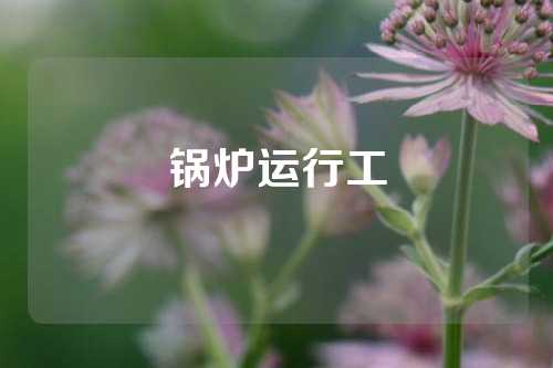 锅炉运行工