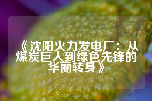 《沈阳火力发电厂：从煤炭巨人到绿色先锋的华丽转身》