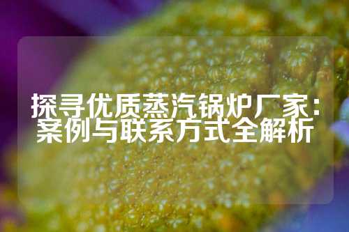 探寻优质蒸汽锅炉厂家：案例与联系方式全解析