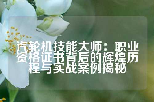 汽轮机技能大师：职业资格证书背后的辉煌历程与实战案例揭秘