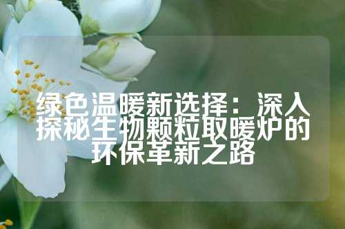 绿色温暖新选择：深入探秘生物颗粒取暖炉的环保革新之路