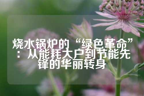 烧水锅炉的“绿色革命”：从能耗大户到节能先锋的华丽转身