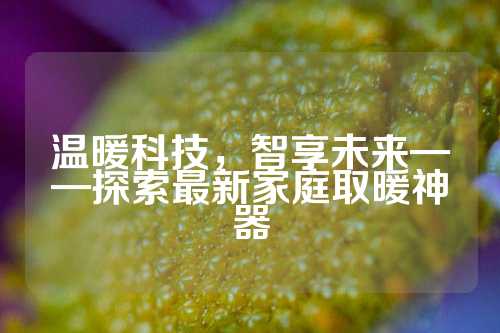 温暖科技，智享未来——探索最新家庭取暖神器