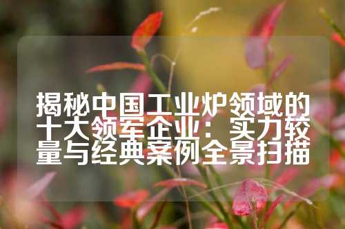 揭秘中国工业炉领域的十大领军企业：实力较量与经典案例全景扫描