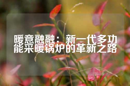 暖意融融：新一代多功能采暖锅炉的革新之路