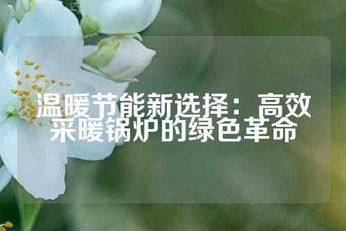 温暖节能新选择：高效采暖锅炉的绿色革命