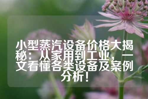 小型蒸汽设备价格大揭秘：从家用到工业，一文看懂各类设备及案例分析！