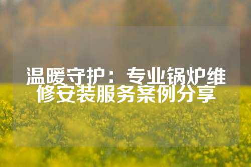 温暖守护：专业锅炉维修安装服务案例分享