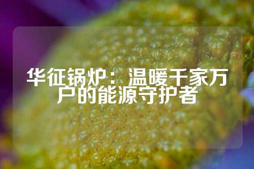 华征锅炉：温暖千家万户的能源守护者