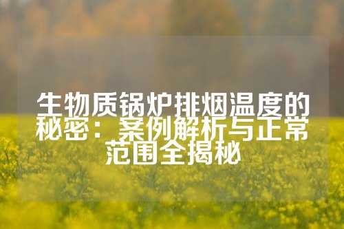 生物质锅炉排烟温度的秘密：案例解析与正常范围全揭秘